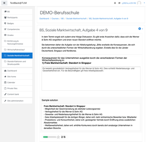 Abbildung 4: Beispiel einer offenen Aufgabe zur Sozialen Marktwirtschaft